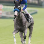 先週末の中央競馬勝ち馬