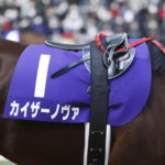 先週末の中央競馬勝ち馬