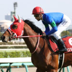 愛馬の活躍に寄せて２（2021.04.10　バスラットレオン）