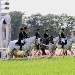 先週末の中央競馬勝ち馬