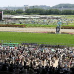 先週末の中央競馬勝ち馬