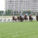 先週末の中央競馬勝ち馬