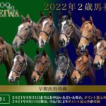 先週末の中央競馬勝ち馬