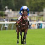 先週末の中央競馬勝ち馬