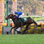 先週末の中央競馬勝ち馬