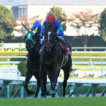 先週末の中央競馬勝ち馬