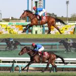 先週末の中央競馬勝ち馬