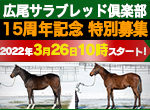 先週末の中央競馬勝ち馬