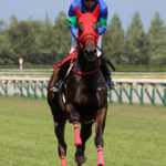 先週末の中央競馬勝ち馬