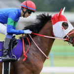 先週末の中央競馬勝ち馬