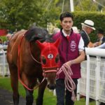 今週の海外競馬出走（バスラットレオン）