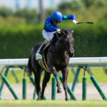 先週末の中央競馬勝ち馬