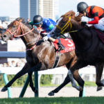 先週末の中央競馬勝ち馬