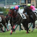 先週末の中央競馬勝ち馬