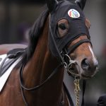 先週末の中央競馬勝ち馬