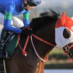 先週末の中央競馬勝ち馬