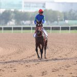 先週末の中央競馬勝ち馬