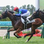 先週末の中央競馬勝ち馬