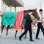 新年明けましておめでとうございます