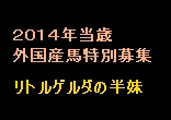 ２０１４年当歳外国産馬特別募集のご案内