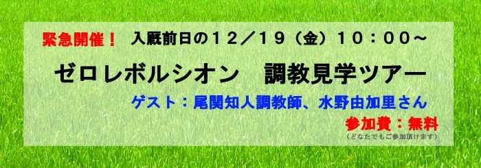 緊急開催！『ゼロレボルシオン　調教見学ツアー』のお知らせ！