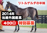 ２０１４年当歳外国産馬特別募集全容公開