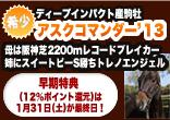 1/31終了！ディープインパクト産駒アスクコマンダー'13&ベイビーローズ'13の早期特典