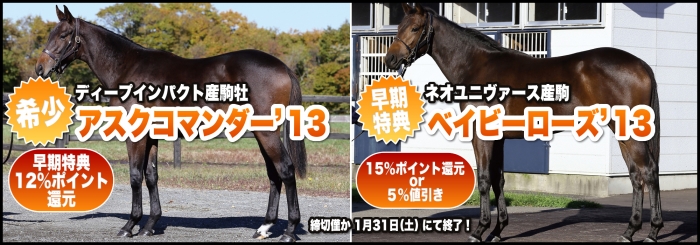 1/31終了！ディープインパクト産駒アスクコマンダー'13&ベイビーローズ'13の早期特典