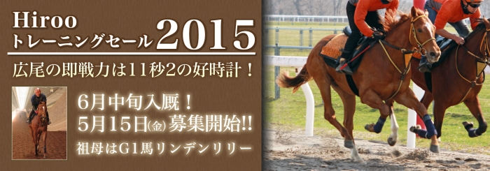 Hirooトレーニングセール2015全容公開