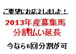 ２０１３年産募集馬、分割払い延長のお知らせ