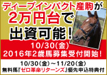 ２０１６年２歳馬募集のご案内