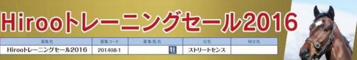 『Ｈｉｒｏｏトレーニングセール２０１６』募集＆販売総額予想大会実施のお知らせ