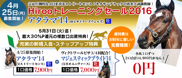 【ストリートセンス産駒の即戦力仕様】Hirooトレーニングセール２０１６のご案内