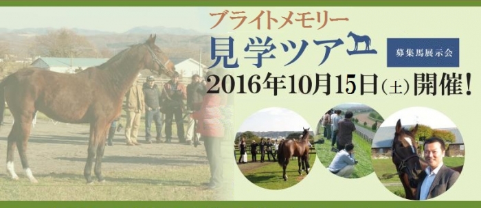 １０月１５日（土）ブライトメモリー、ディグアップセンス、ディメンシオン牧場見学ツアー＆関西募集馬検討会・馬券大会