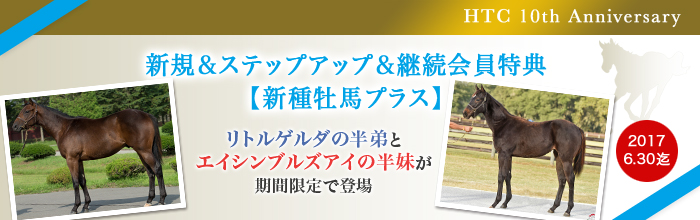 [10周年記念]新規＆ステップアップ＆継続会員特典【新種牡馬プラス】