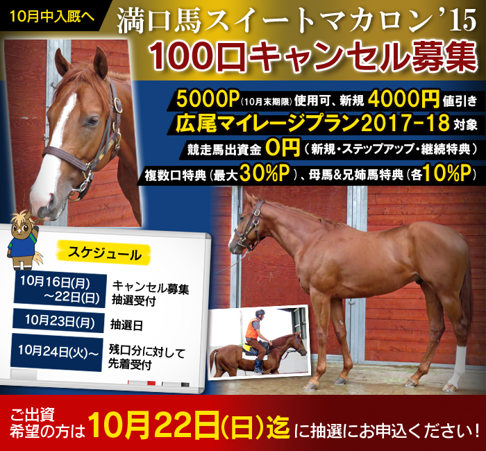 【10/16～22抽選受付】満口馬パワーバンド（スイートマカロン'15）の100口限定キャンセル募集。