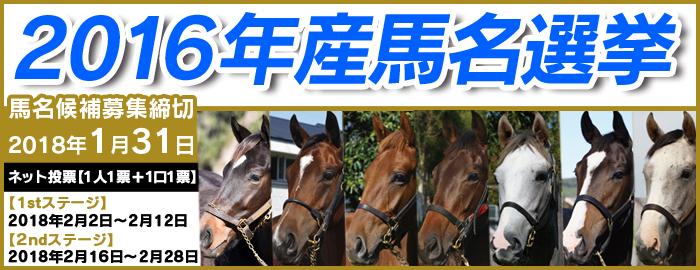 広尾っ仔２０１６年産馬名選挙