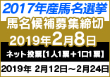 広尾っ仔２０１７年産馬名選挙