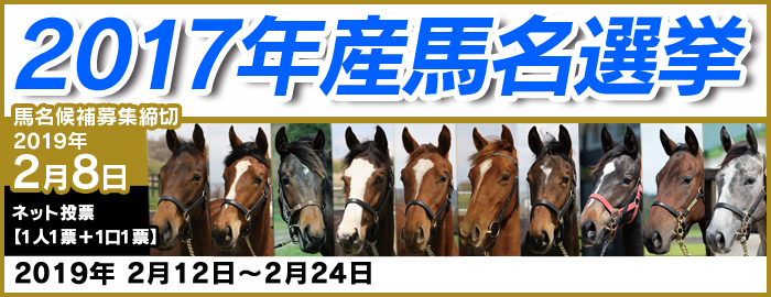 広尾っ仔２０１７年産馬名選挙