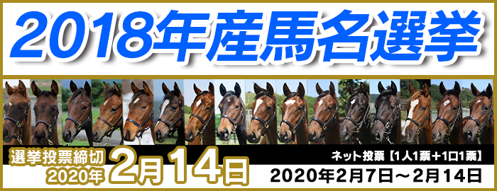 広尾っ仔２０１８年産馬名選挙