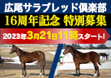 広尾サラブレッド倶楽部リニューアル１６周年記念 2024年２歳馬特別募集のご案内