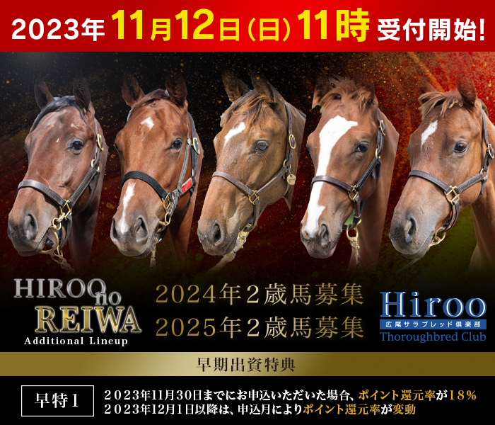 2024年・2025年２歳馬募集『Hiroo no REIWA Additional Lineup』のご案内