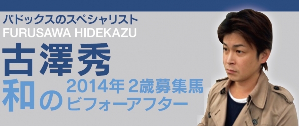 パドックスペシャリスト古澤秀和の2014年産募集馬ビフォーアフター