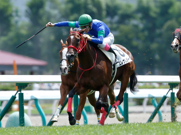 祝エレナレジーナ新馬戦勝利！加藤征弘調教師に聞く馬選びのコツ。