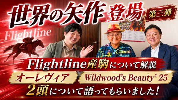【特別ゲスト】世界の矢作が登場！第三弾はFlightline産駒のオーレヴィアと現在募集中のWildwood's Beauty' 25について語っていただきました！
