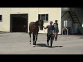 シュウジデイファーム