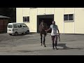 シュウジデイファーム