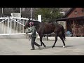 シュウジデイファーム