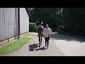 エイドンホール