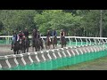 シュウジデイファーム